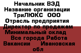 Начальник ВЭД › Название организации ­ ТриЛЮКС, ООО › Отрасль предприятия ­ Директор по продажам › Минимальный оклад ­ 1 - Все города Работа » Вакансии   . Ивановская обл.